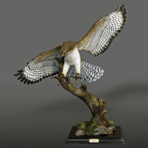 Red-tailed Hawk Bronze Sculpture by Barry Stein Sculptures
