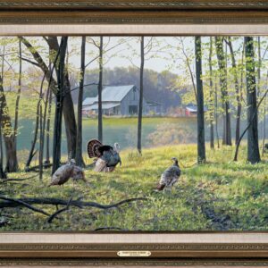 Homesteaders - Turkeys - 24" x 36" Framed Gallery Canvas