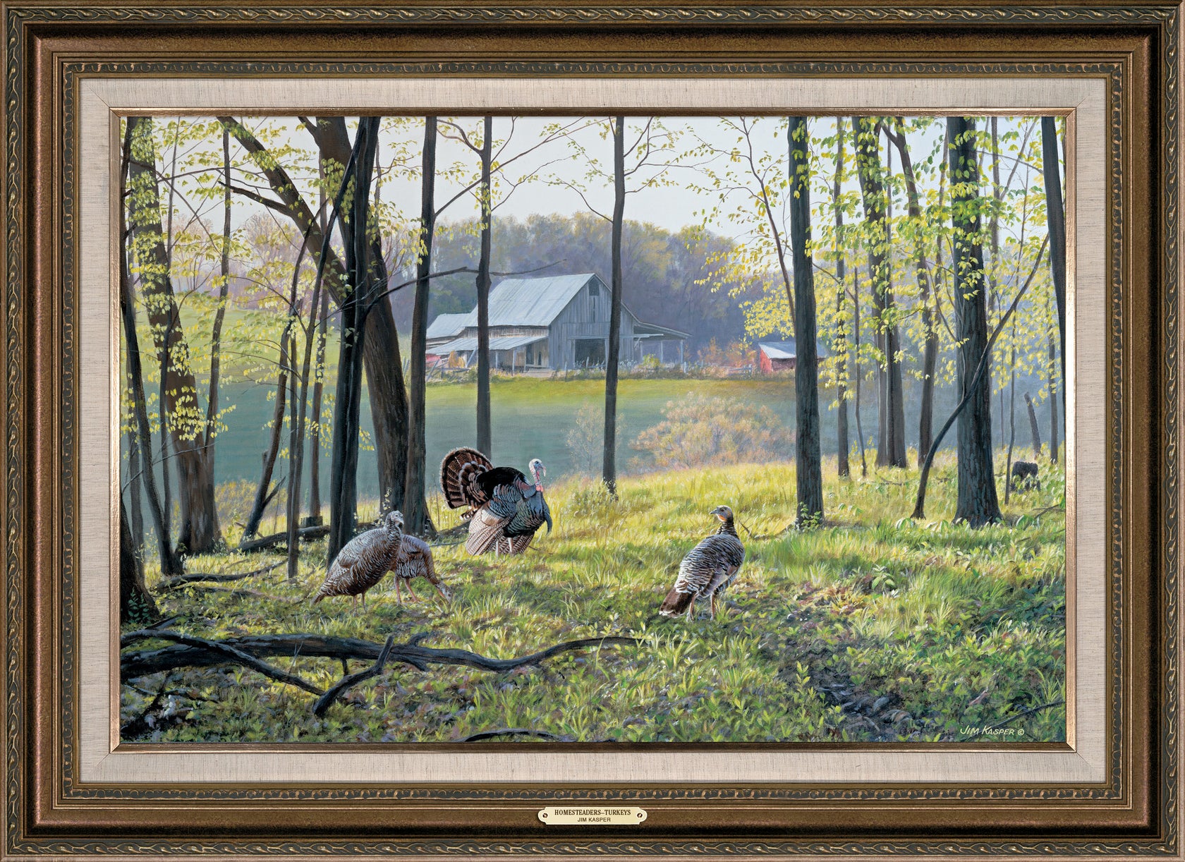 Homesteaders - Turkeys - 24" x 36" Framed Gallery Canvas