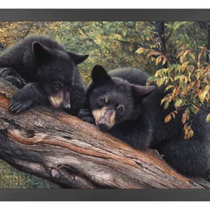 Mom’s Awaiting - Black Bears - 11″ x 14″ Art Print