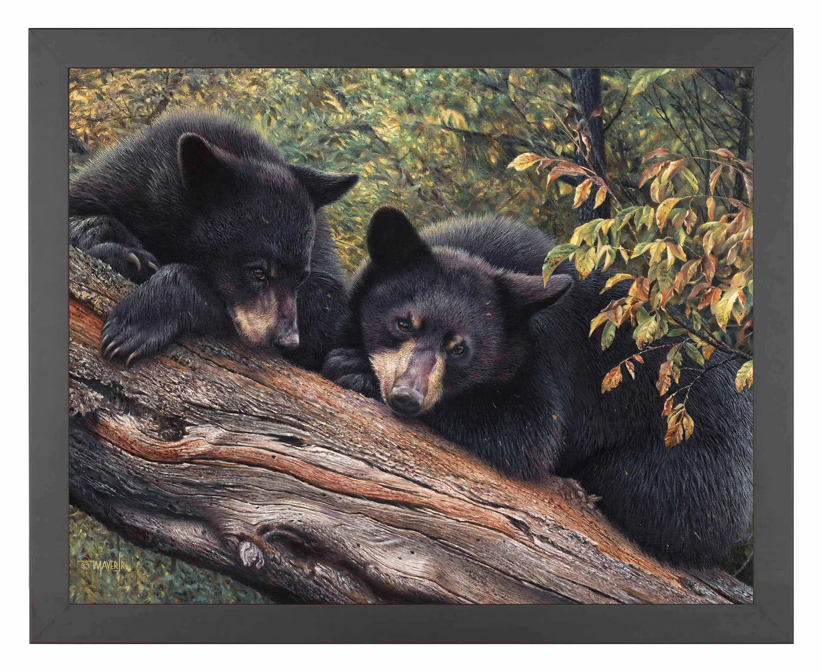 Mom’s Awaiting - Black Bears - 11″ x 14″ Art Print