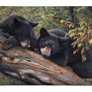 Mom’s Awaiting - Black Bears - 13" x 18" Gallery Wrapped Canvas