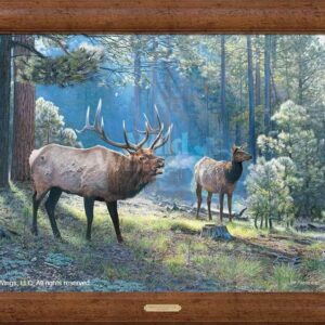 Spirited Exchange - Elk - 24" x 36" Framed Gallery Canvas