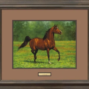 That's My Horse - Arabian Bay - Limited Edition Paper