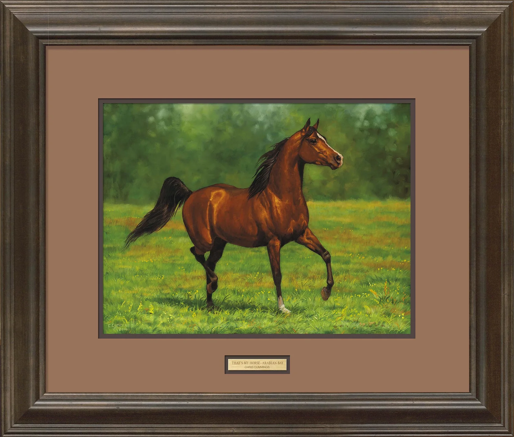 That's My Horse - Arabian Bay - Limited Edition Paper