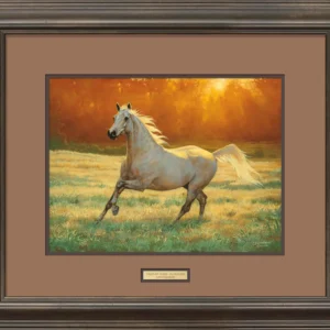 That's My Horse - Arabian Bay - Signed Print