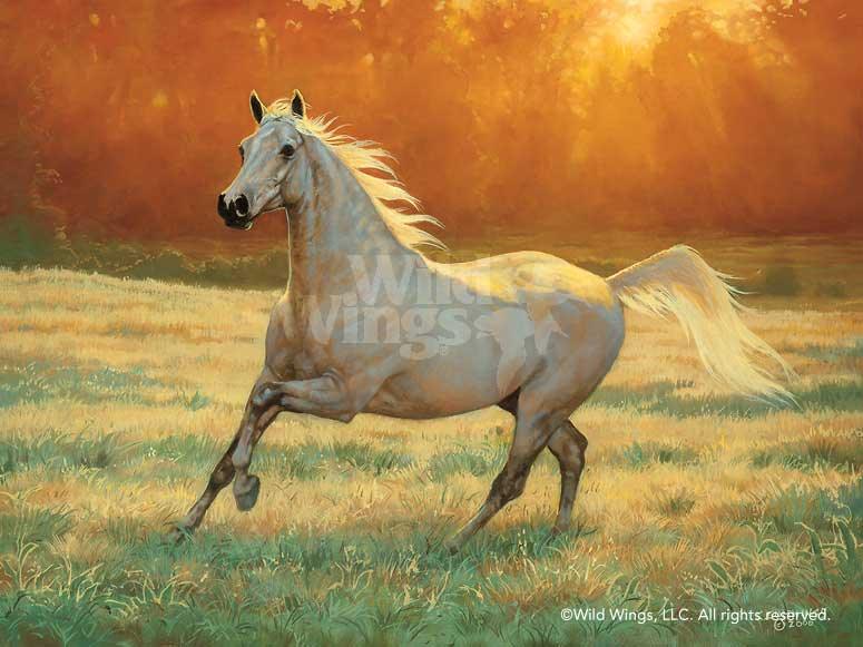 That's My Horse - Arabian Gray - Paper Print