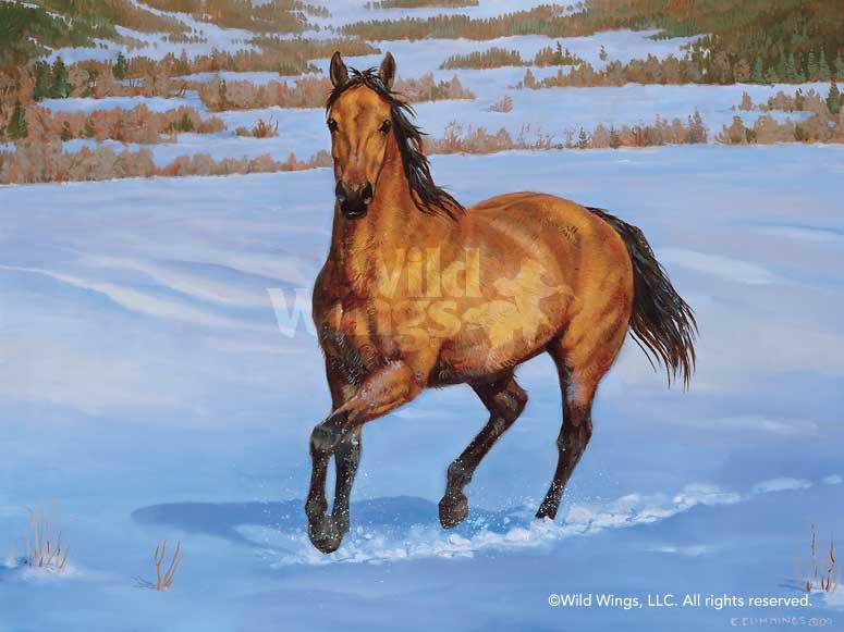 That's My Horse - Quarter Horse - Buckskin - Limited Edition Paper