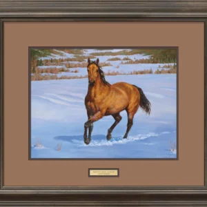 That's My Horse - Quarter Horse - Buckskin - Paper Print