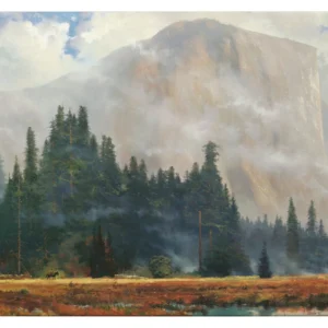 Yosemite Meadow - 16" x 31" Gallery Wrapped Canvas