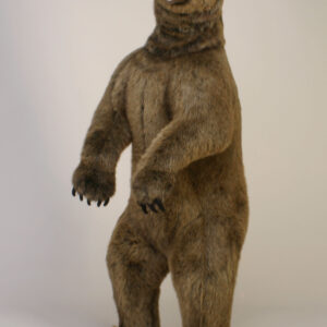 Young Grizzly Bear Standing 60''