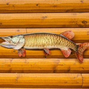 42 Inch 2D Musky Replica Art
