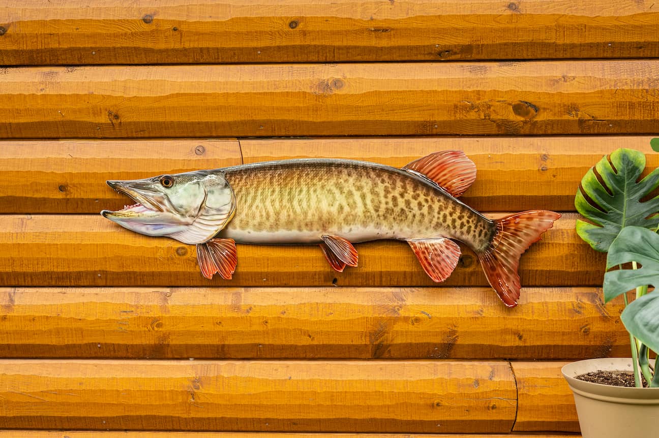 42 Inch 2D Musky Replica Art