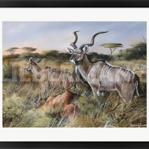 A Brief Look Back - Greater Kudu - 31" x 24" Framed Art Print