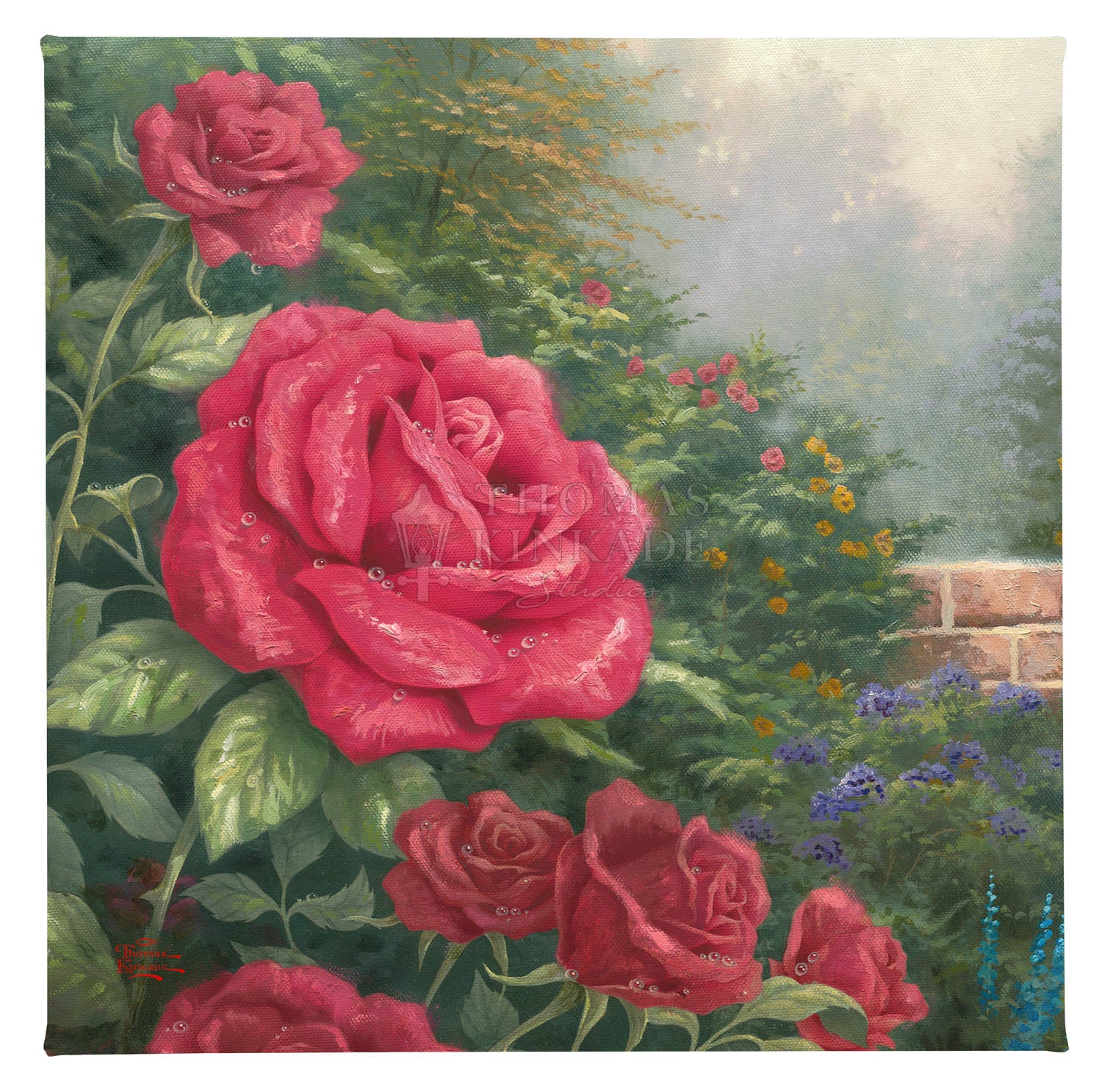 A Perfect Red Rose - 14" x 14" Gallery Wrapped Canvas