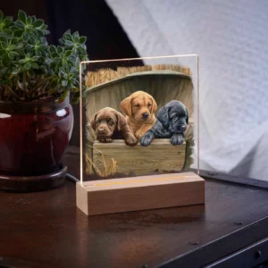 All Hands on Deck 6.37" x 6" Acrylic Nightlight - Lab Puppies - Official Ducks Unlimited Art