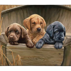 All Hands on Deck Gallery Wrapped Canvas - Lab Puppies - Official Ducks Unlimited Art