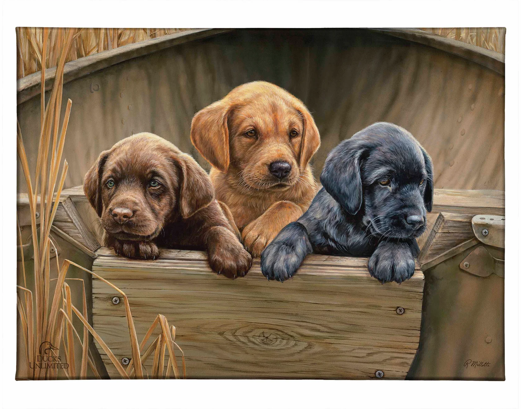 All Hands on Deck Gallery Wrapped Canvas - Lab Puppies - Official Ducks Unlimited Art