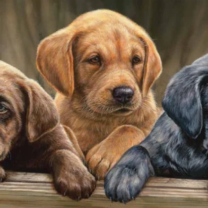 All Hands on Deck 12" x 30" Wood Sign - Lab Puppies - Official Ducks Unlimited Art