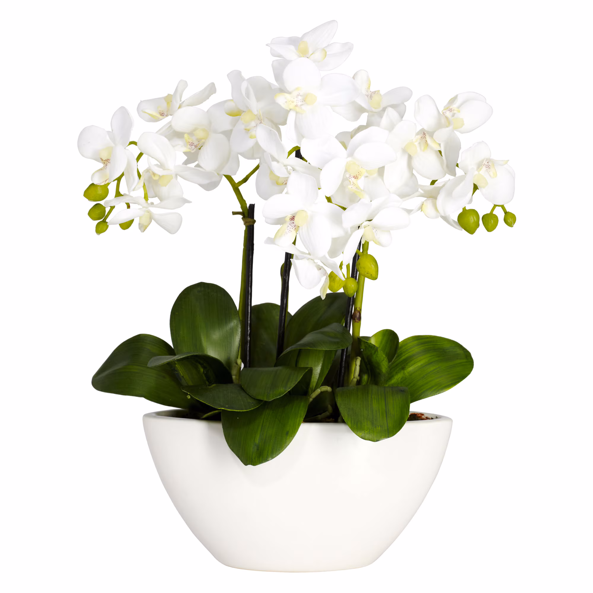 Artificial Phalaenopsis Arrangement