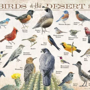 Backyard Birds of the Desert Southwest - 12" x 30" Wood Sign