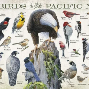 Backyard Birds of the Pacific Northwest - 12" x 30" Wood Sign
