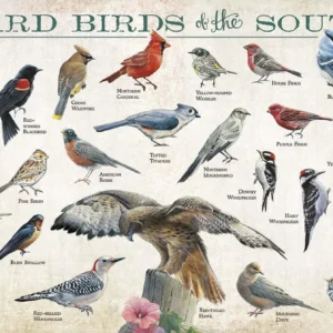 Backyard Birds of the Southeast - 12" x 30" Wood Sign