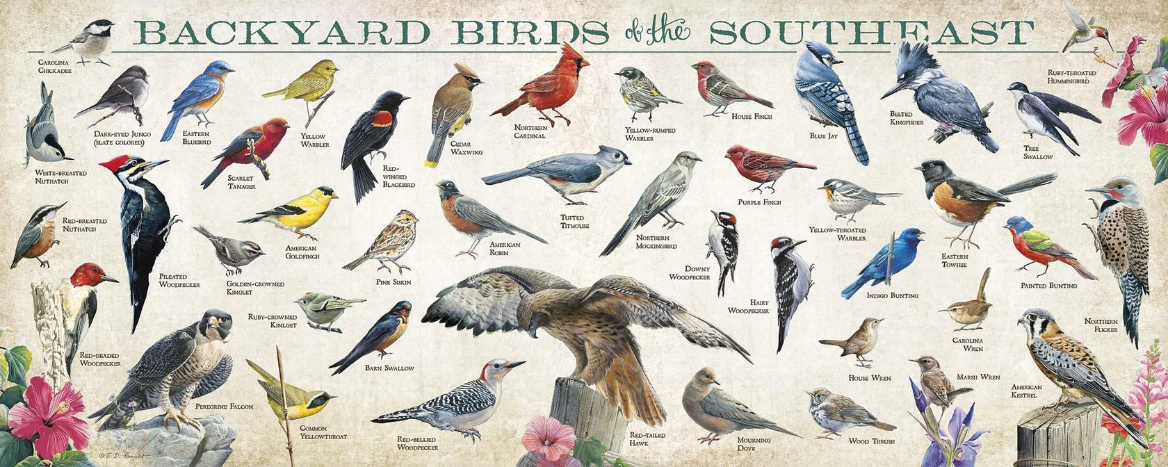 Backyard Birds of the Southeast - 12" x 30" Wood Sign
