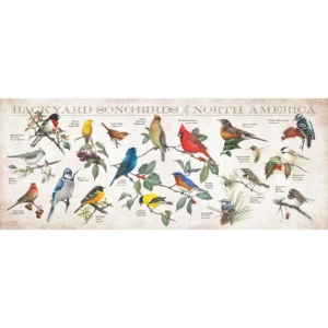 Backyard Songbirds of North America - 12" x 30" Wood Sign