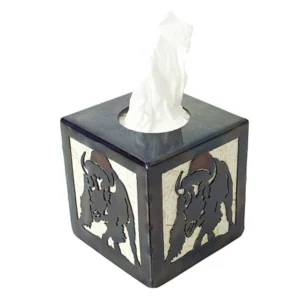 Bison Charging Tissue Box Holder