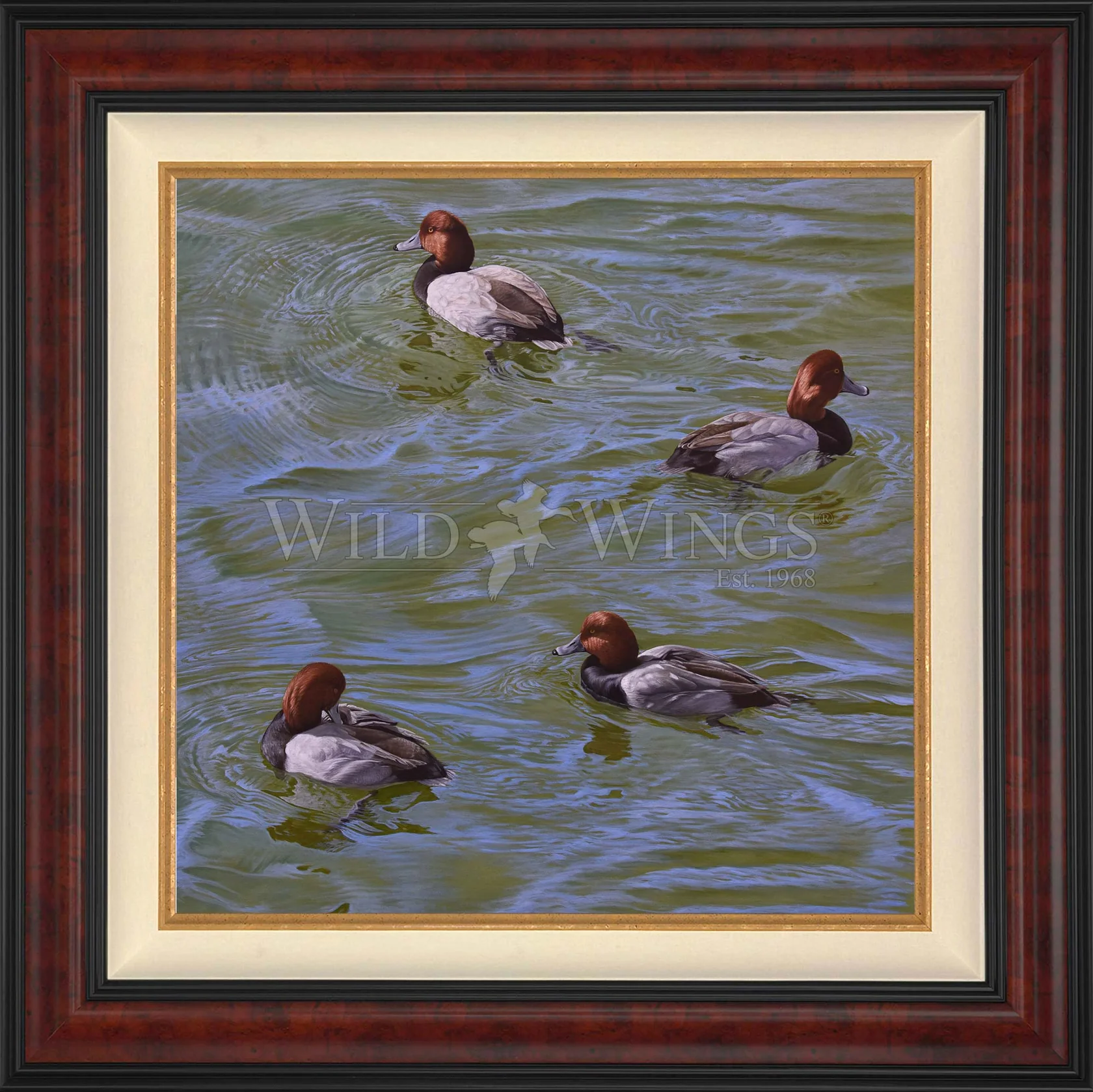 Black and Red on Green - Redhead Ducks - Limited Edition Canvas