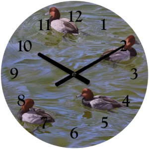 Black and Red on Green - Redhead Ducks - 21" Round Clock