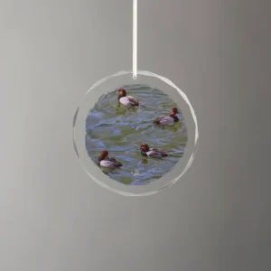 Black and Red on Green - Redhead Ducks - Round Glass Ornament