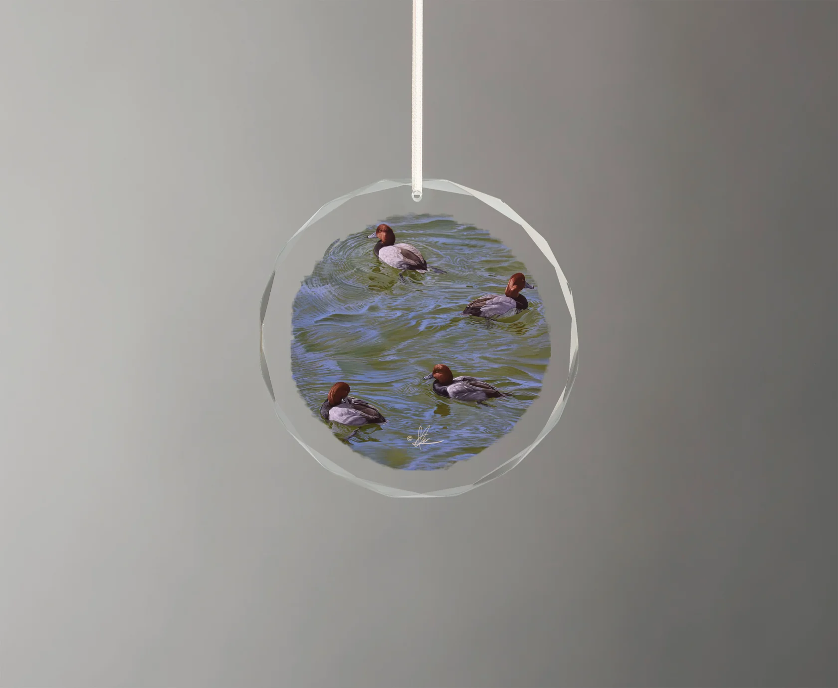Black and Red on Green - Redhead Ducks - Round Glass Ornament