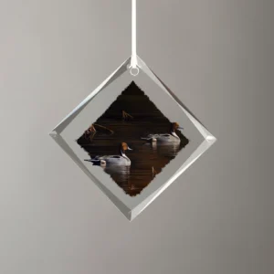 Chasing the Setting Sun - Northern Pintail - Diamond Glass Ornament