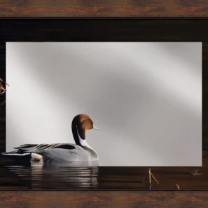 Chasing the Setting Sun - Northern Pintail - 16" x 24" Mirror Framed Barnwood