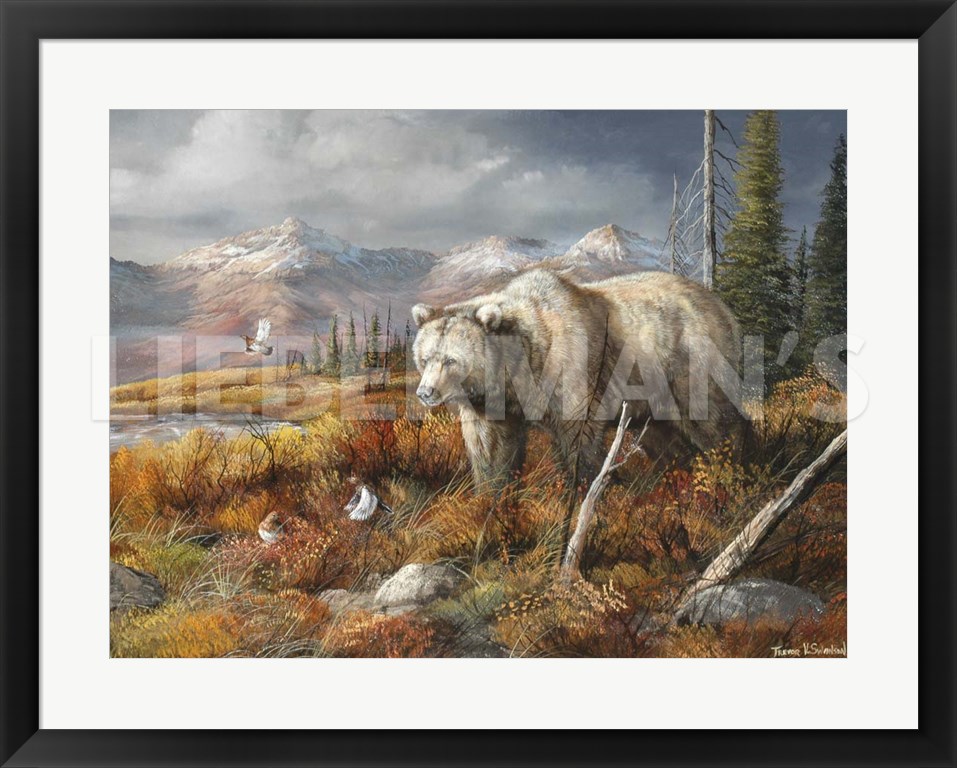 Dinner Is Spooked - Grizzly Bear - 31" x 25" Framed Art Print