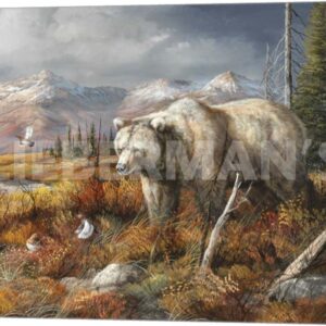 Dinner Is Spooked - Grizzly Bear - 24" x 18" Gallery Wrapped Canvas