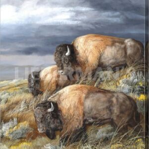 Distant Thunder - Bison - 18" x 22" Gallery Wrapped Canvas