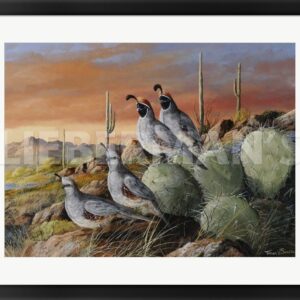 Double Date - Gambel’s Quail - 31″ x 24″ Framed Art Print