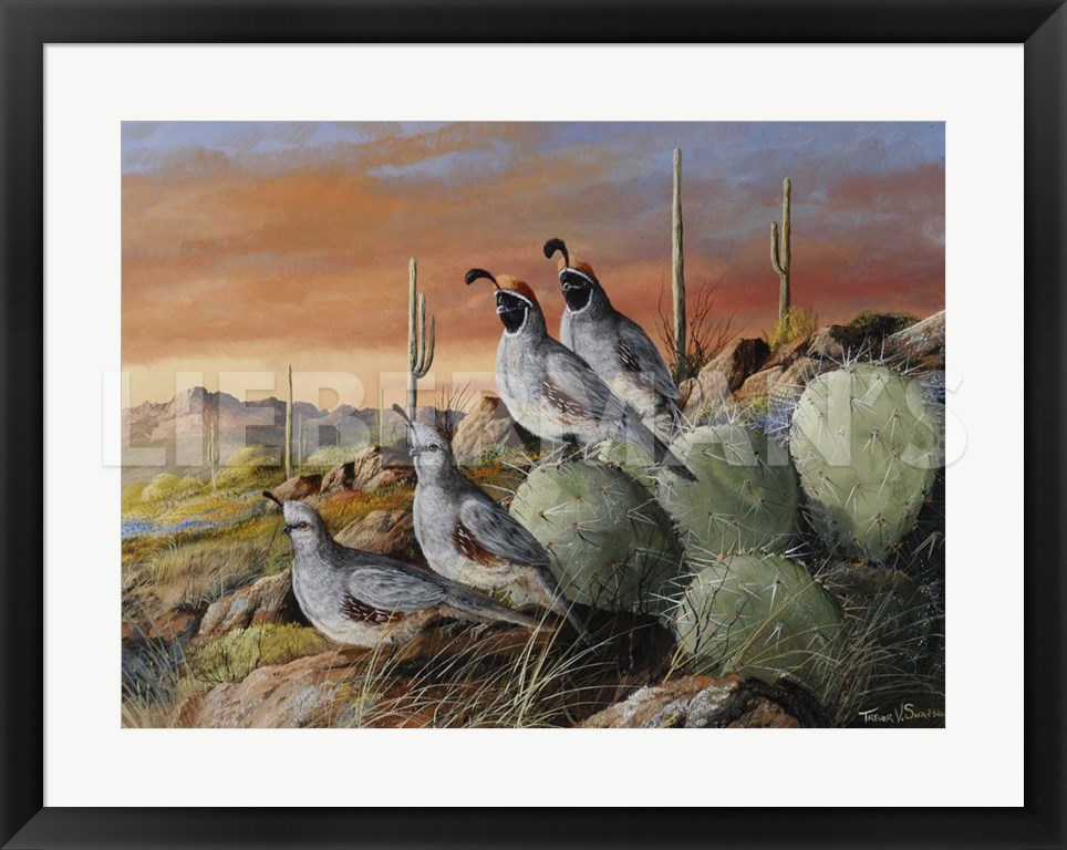 Double Date - Gambel’s Quail - 31″ x 24″ Framed Art Print