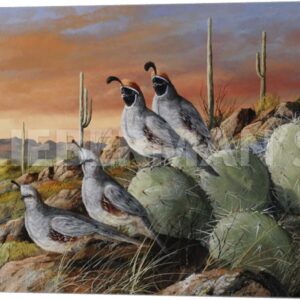 Double Date - Gambel’s Quail - 24″ x 18″ Gallery Wrapped Canvas