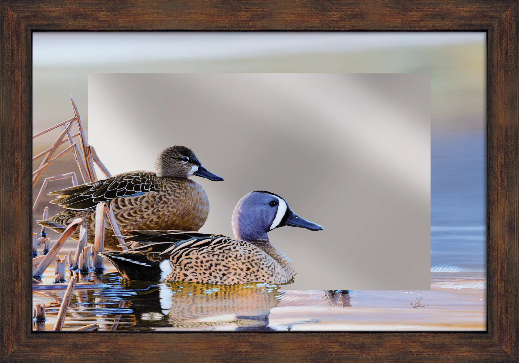 Early Morning Blues - Blue-winged Teal - 16" x 24" Mirror Framed Barnwood