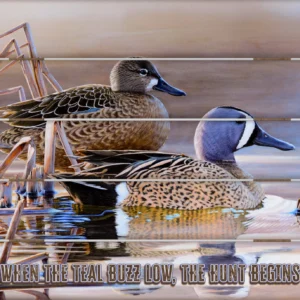 Early Morning Blues - Blue-winged Teal - 18" x 22" Pallet Wall Art