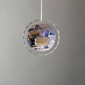 Early Morning Blues - Blue-winged Teal - Round Glass Ornament