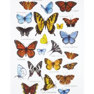 Field Guide Butterflies Printed Kitchen Towel - Pack of 4