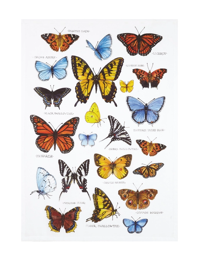 Field Guide Butterflies Printed Kitchen Towel - Pack of 4