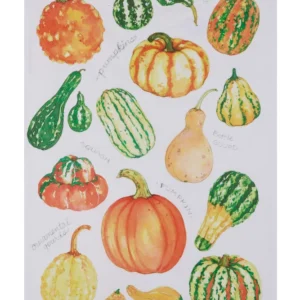 Field Guide Gourds Kitchen Towel - Pack of 4