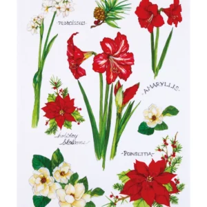 Field Guide Holiday Blossoms Kitchen Towel - Pack of 4
