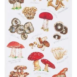 Field Guide Mushrooms Kitchen Towel - Pack of 4